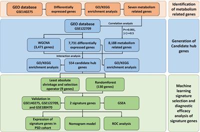 Machine learning algorithms assisted identification of post-stroke depression associated biological features